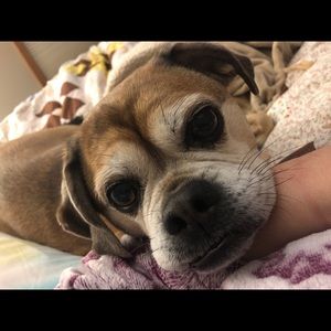 Meet your Posher, Beth